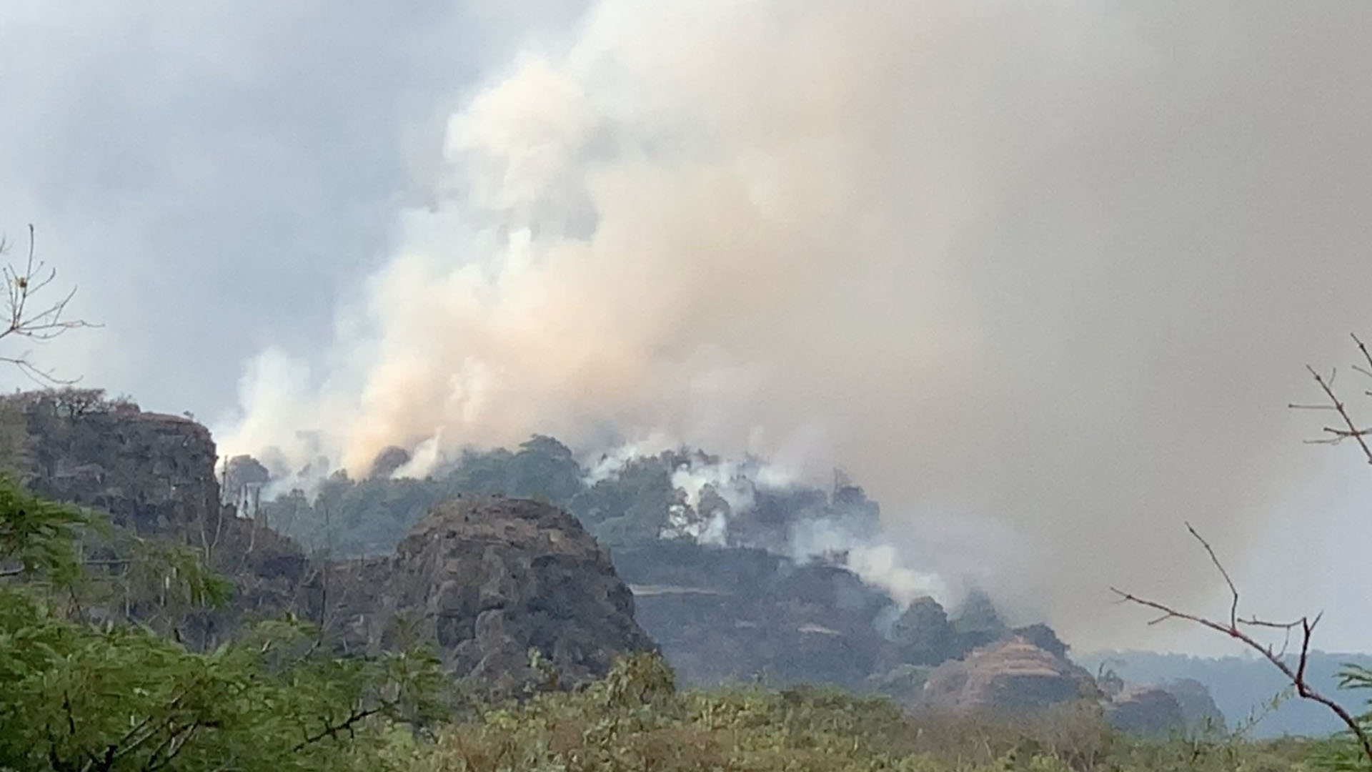 Combaten incendio forestal en Tepoztlán; habría sido causado por paseantes