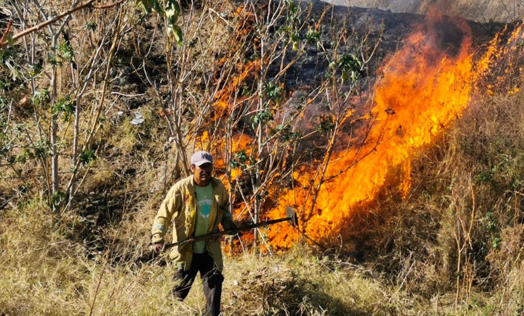 Incendio forestal consume paraje en Tlajomulco, Jalisco