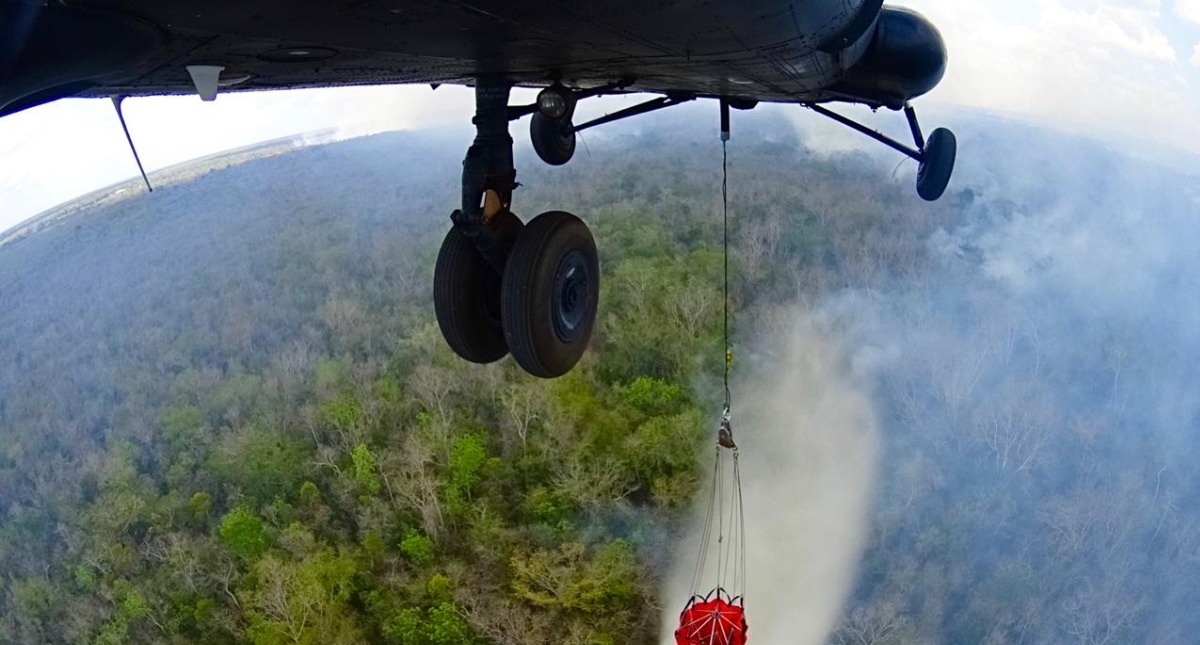 Incendios forestales afectan a 15 entidades en México
