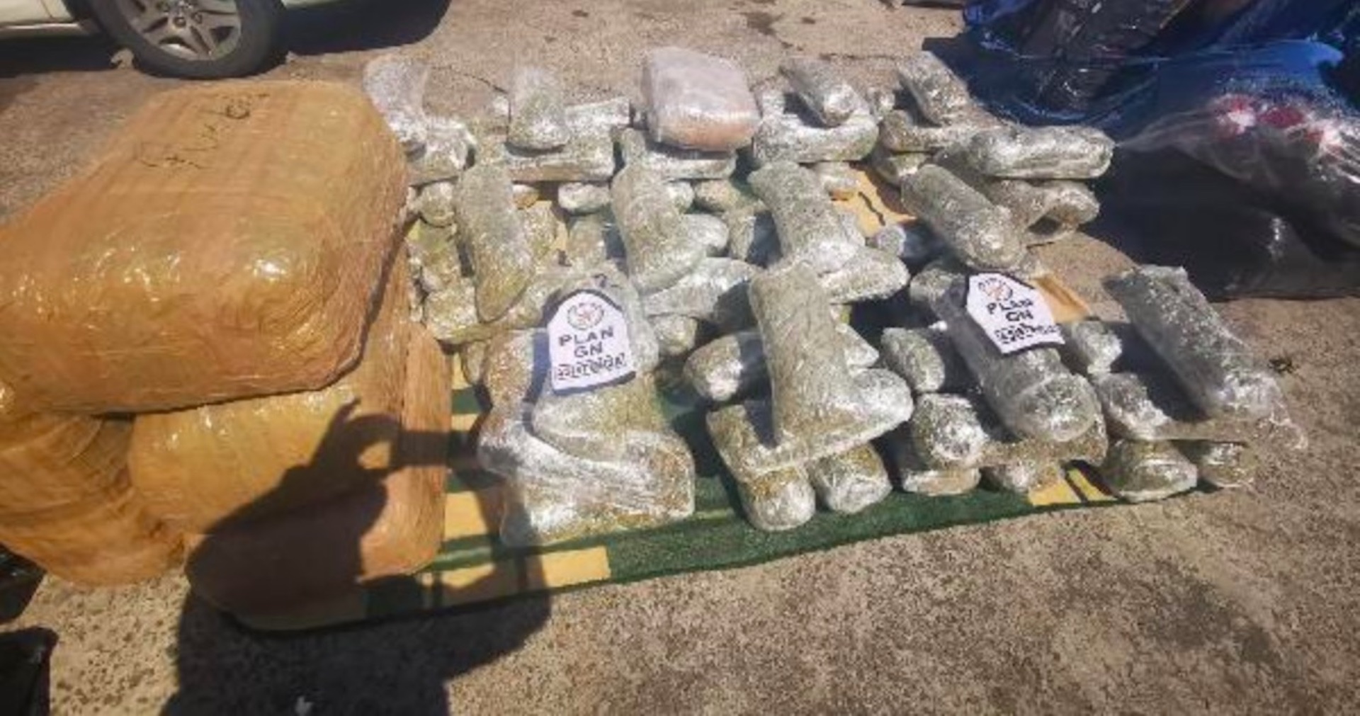 Guardia Nacional decomisa 129 kilos de mariguana en Nopaltepec, Estado de México