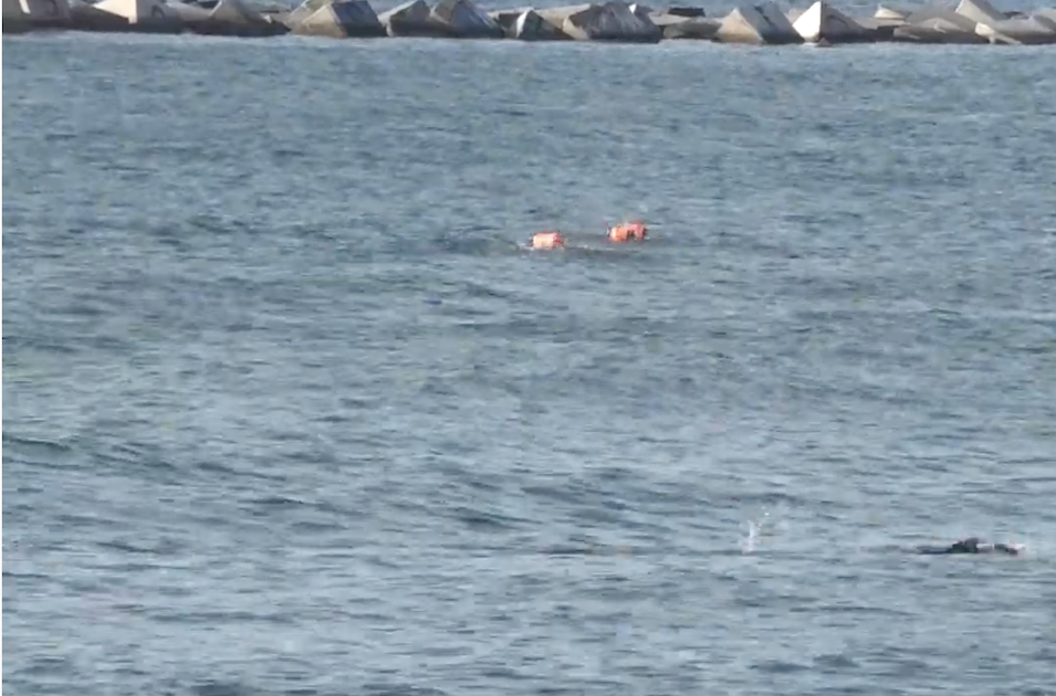 El riesgo está en la cercanía, no en la natación