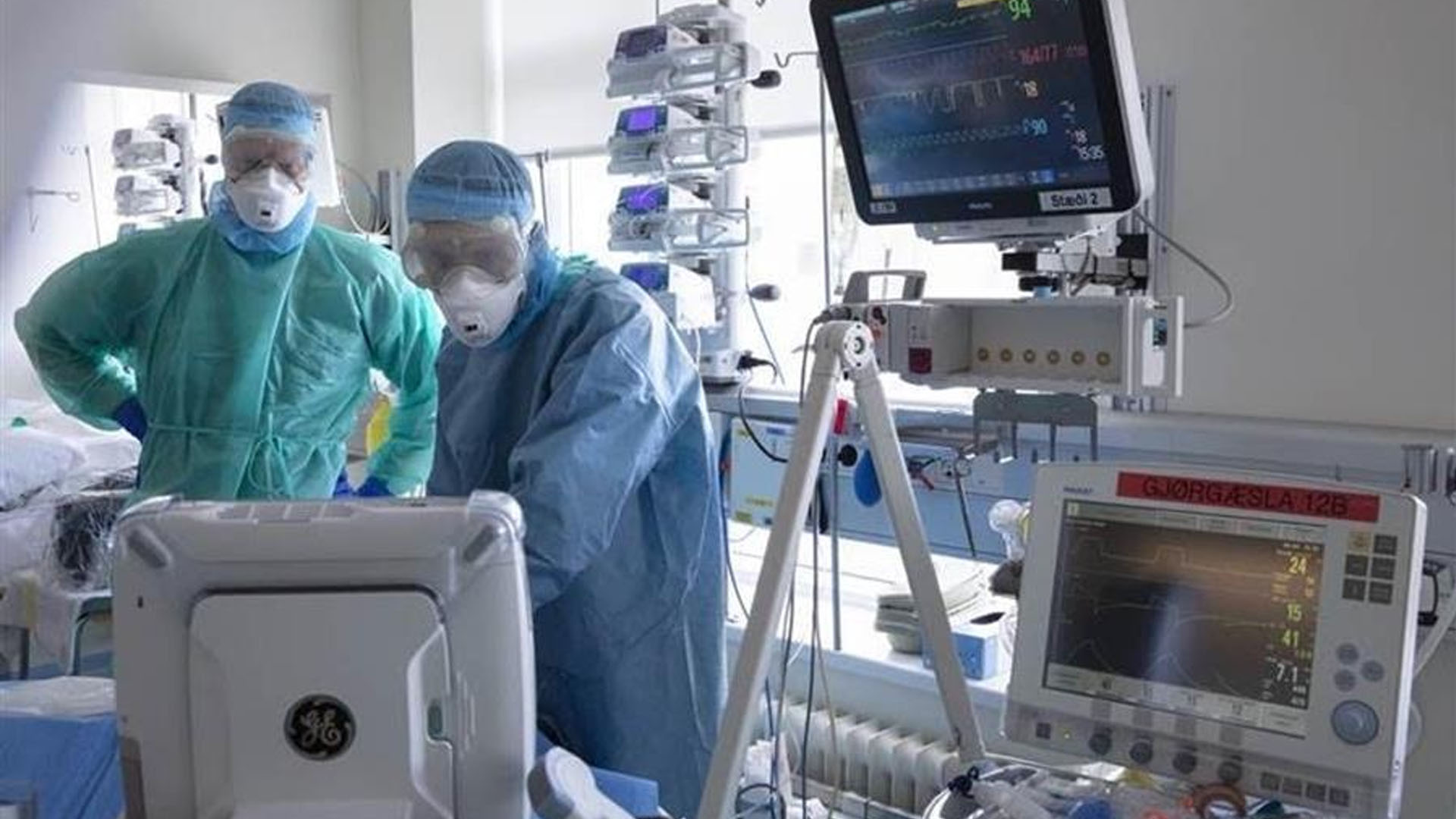 OMS confirma origen animal de COVID-19; refuta creación en laboratorio