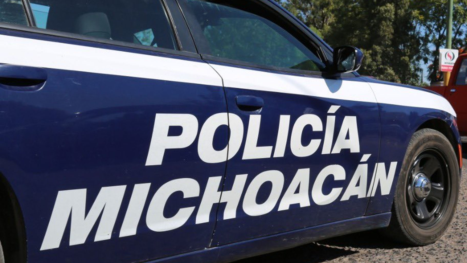 Encuentran 12 cadáveres en Huetamo, Michoacán