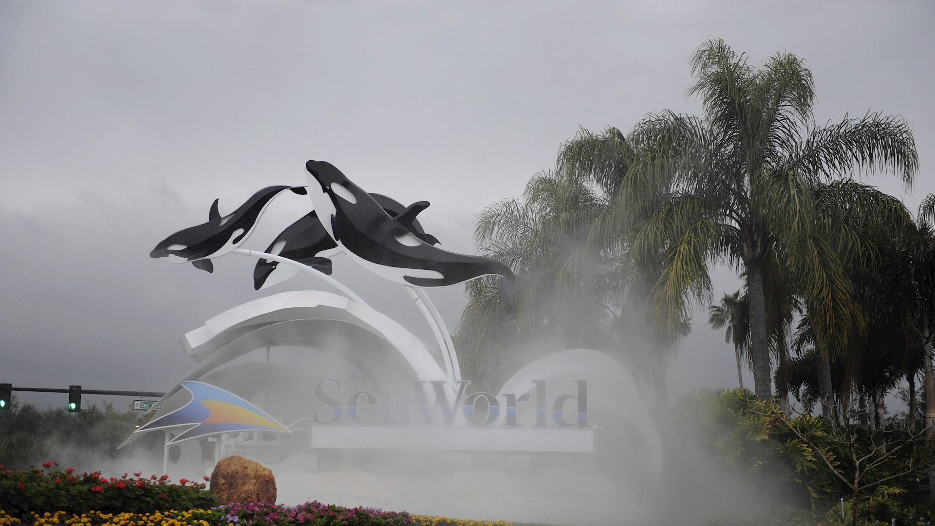 Parques de SeaWorld pierden 56.5 mdd en primer trimestre