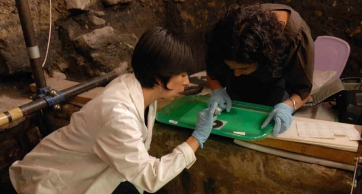 Hallan restos de pepinos de mar en ofrenda mexica