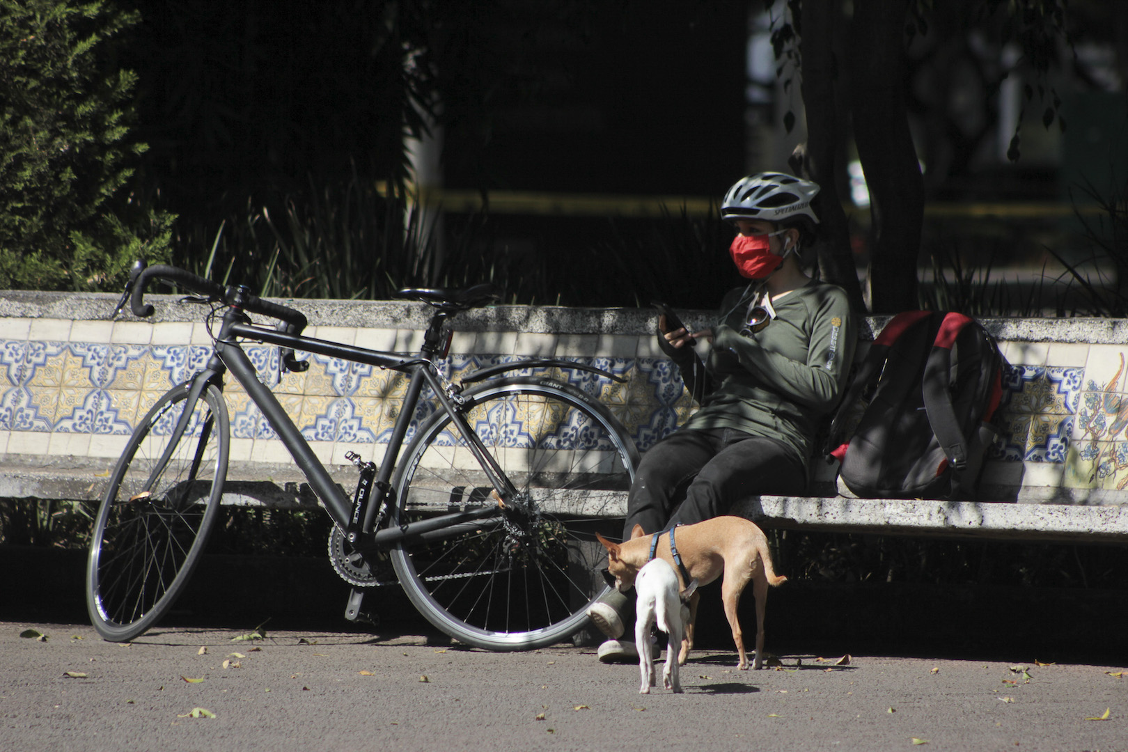 Epidemia de COVID-19 está en su máximo nivel de intensidad: López-Gatell