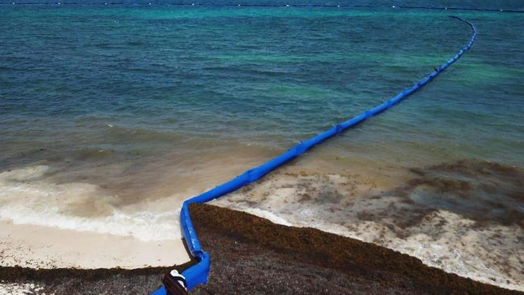 Cristóbal dejó 500 toneladas de sargazo en Playa del Carmen - barreras-de-contencion-de-sargazo