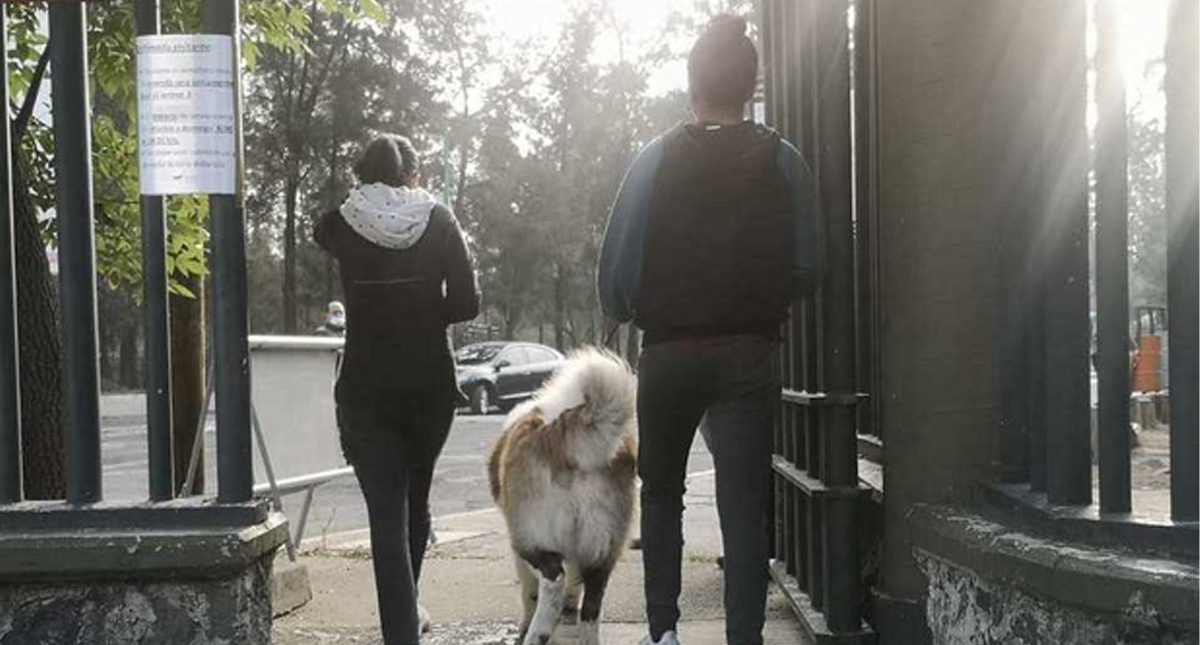 Reabren bosques de Aragón, Chapultepec y Tlalpan con medidas sanitarias por COVID-19