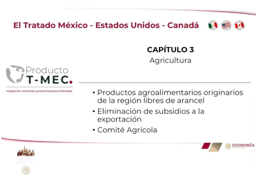 Se han dispersado recursos de 597 mil 730 créditos a la palabra - captura-de-pantalla-2020-06-24-a-las-184223