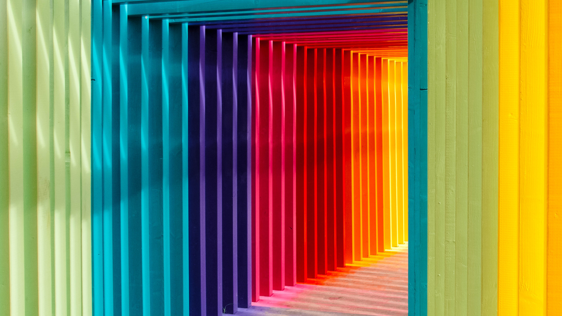 Colibríes ven colores que los humanos no - colores