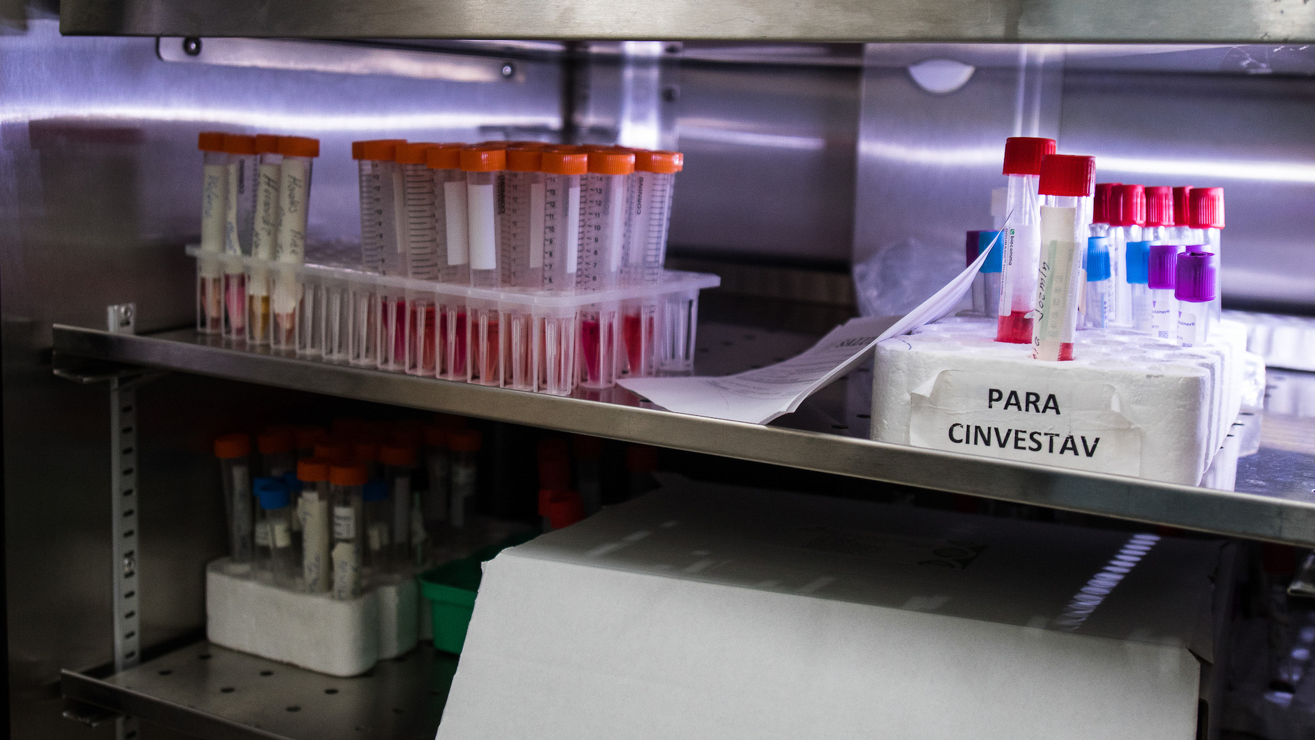 #Video En las últimas 24 horas México registró 4 mil 853 nuevos casos y 274 muertes por COVID-19