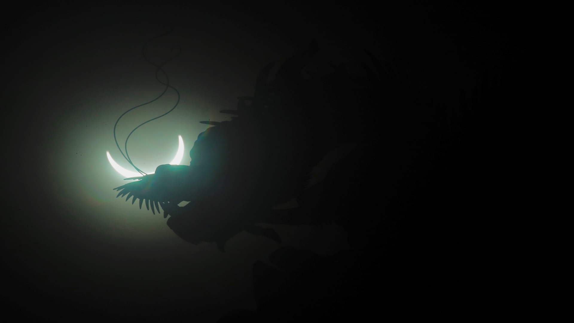 Eclipse anular de sol provoca aro de fuego en África y Asia - eclipse-anular-de-sol4