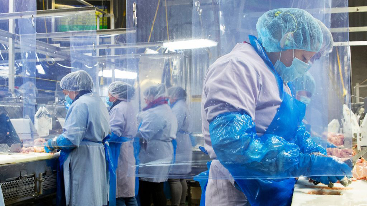 Más de 350 empleados de procesadora de pollo en Missouri dan positivo a COVID-19