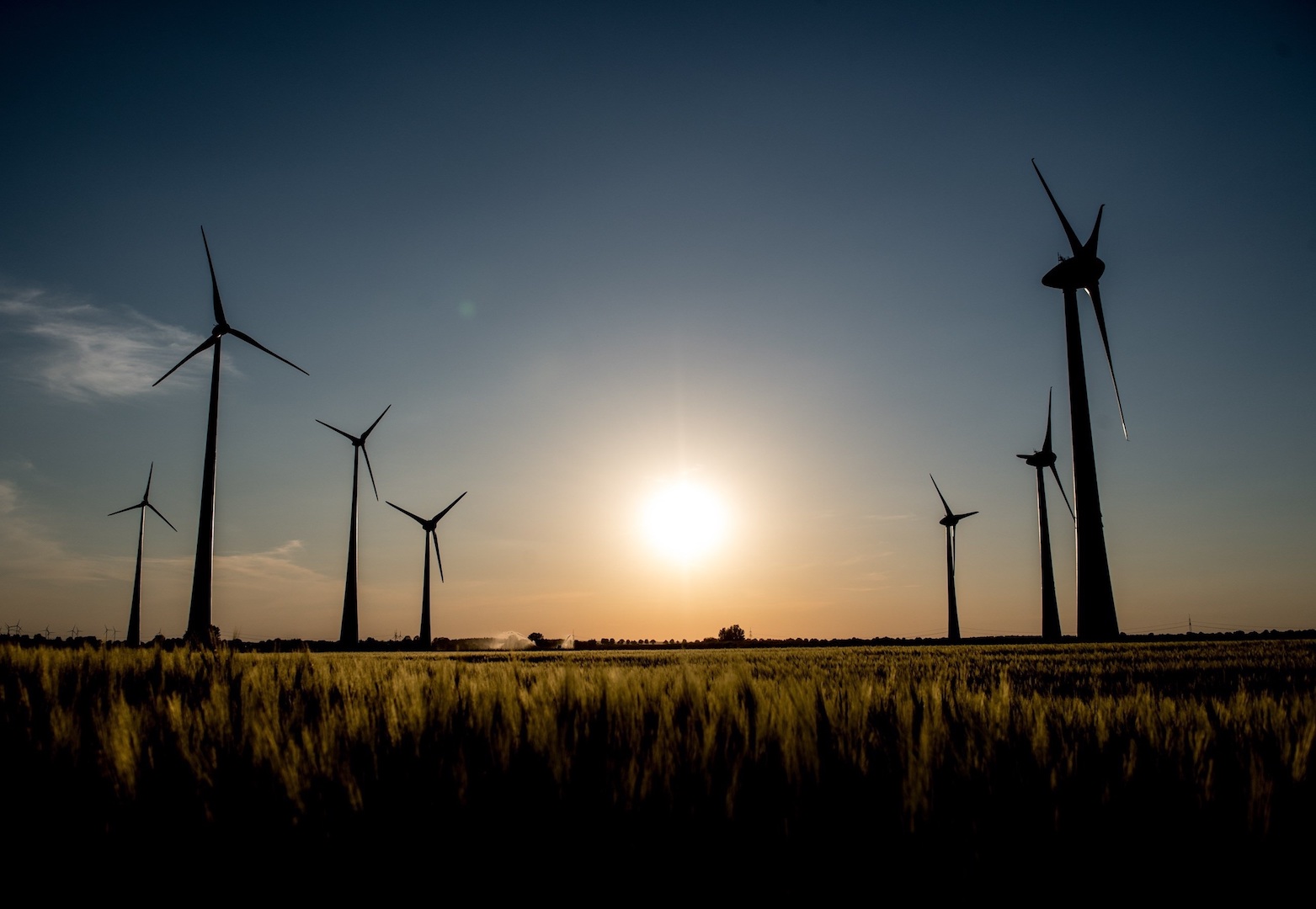 Informe de la ONU sobre energías renovables señala preocupación por política mexicana en el sector