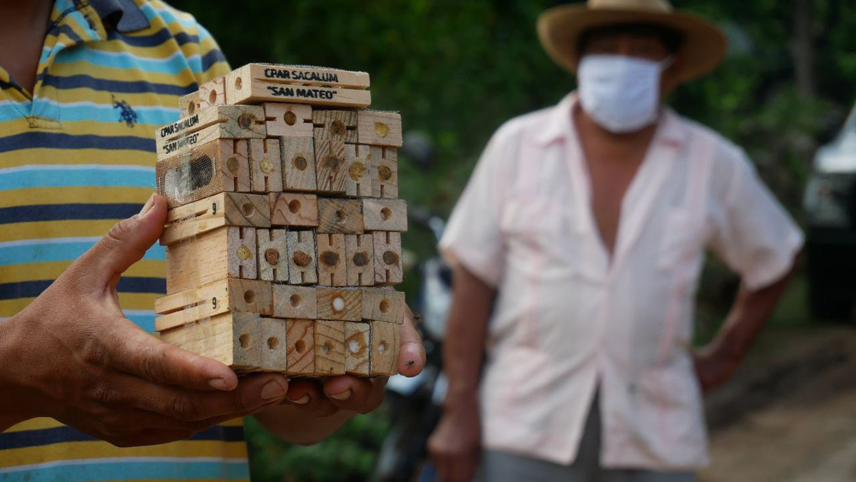 Apoyarán a productores y apicultores de la Península de Yucatán afectados por ‘Cristóbal’