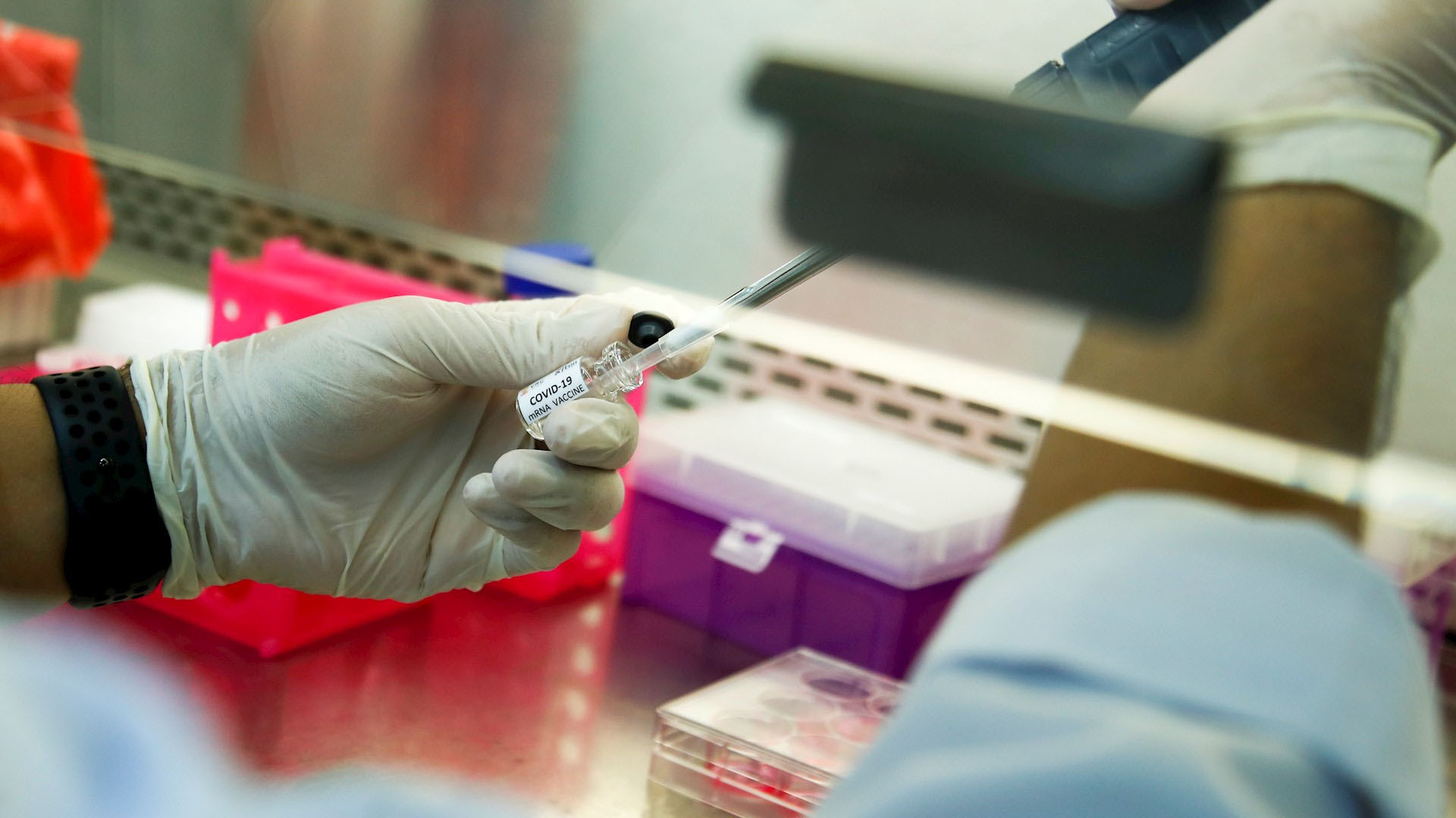 COVID-19 sigue un patrón estacional y prospera en climas frescos y secos: estudio