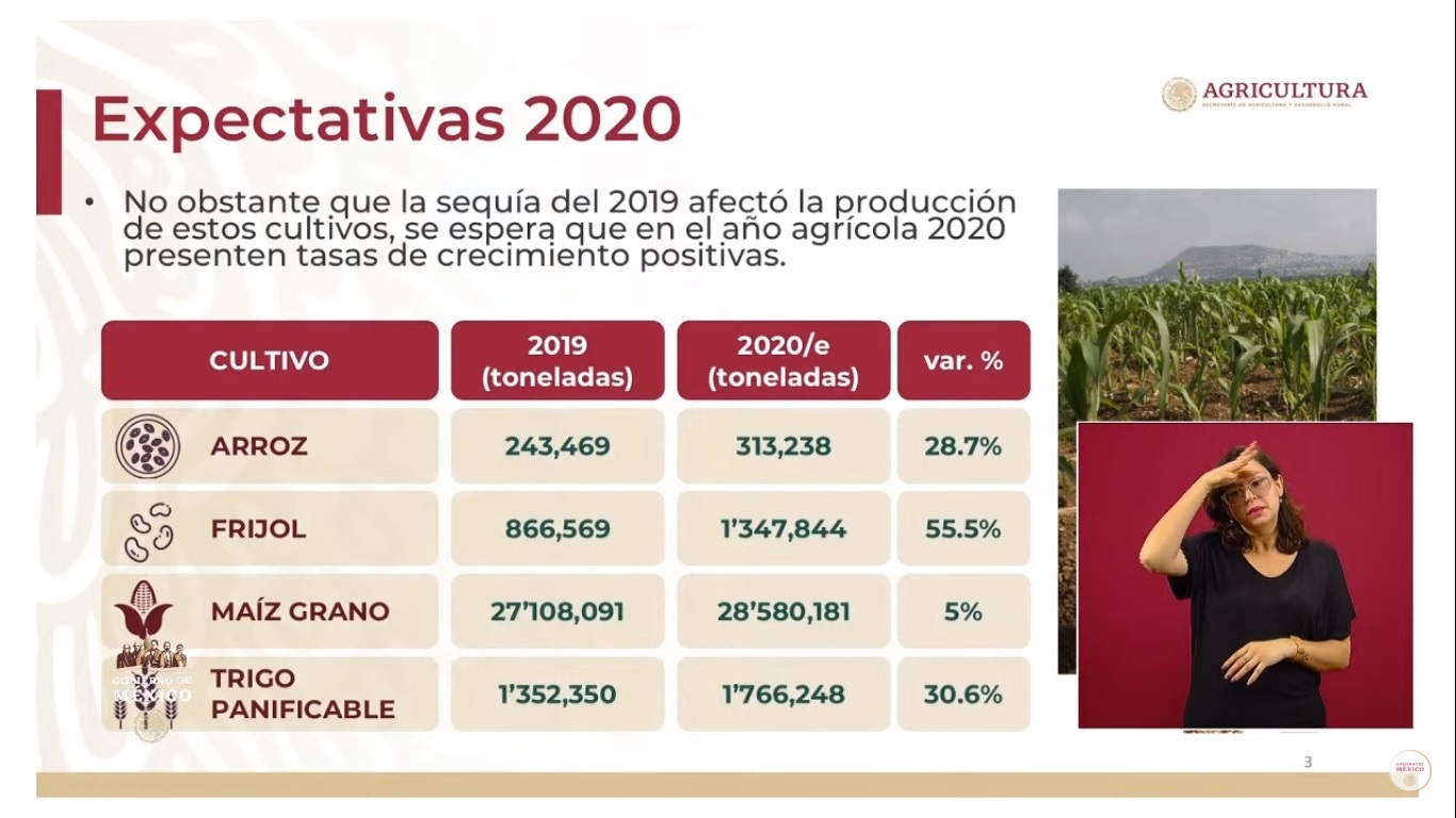Apoyarán a productores y apicultores de la Península de Yucatán afectados por 'Cristóbal' - expectativas-para-el-programa-produccion-para-el-bienestar