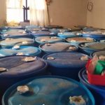 Decomisan 20 mil 900 litros de huachicol en Pachuca, Hidalgo