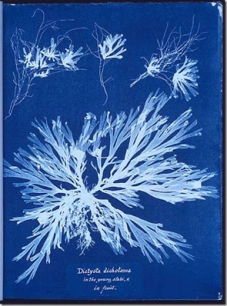 Un extraordinario encuentro - img-5079