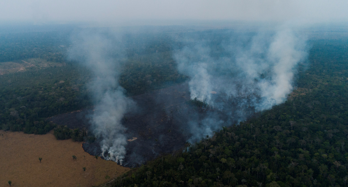 Deforestación del Amazonas en 2019 fue la mayor en 11 años