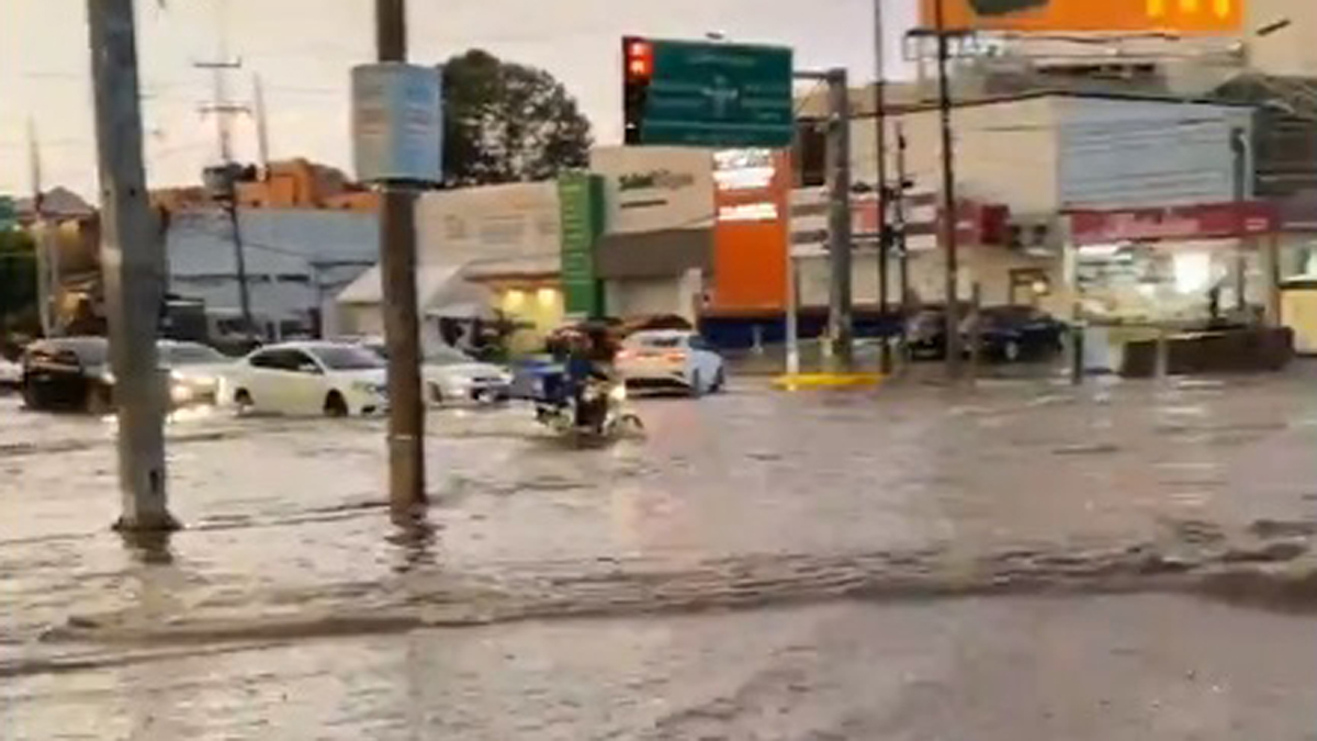 #Video Tormenta en Guadalajara y Zapopan deja al menos 18 árboles caídos