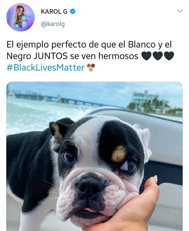 Karol G se disculpa por polémica publicación en redes sociales - karol-g-publicacion-perro