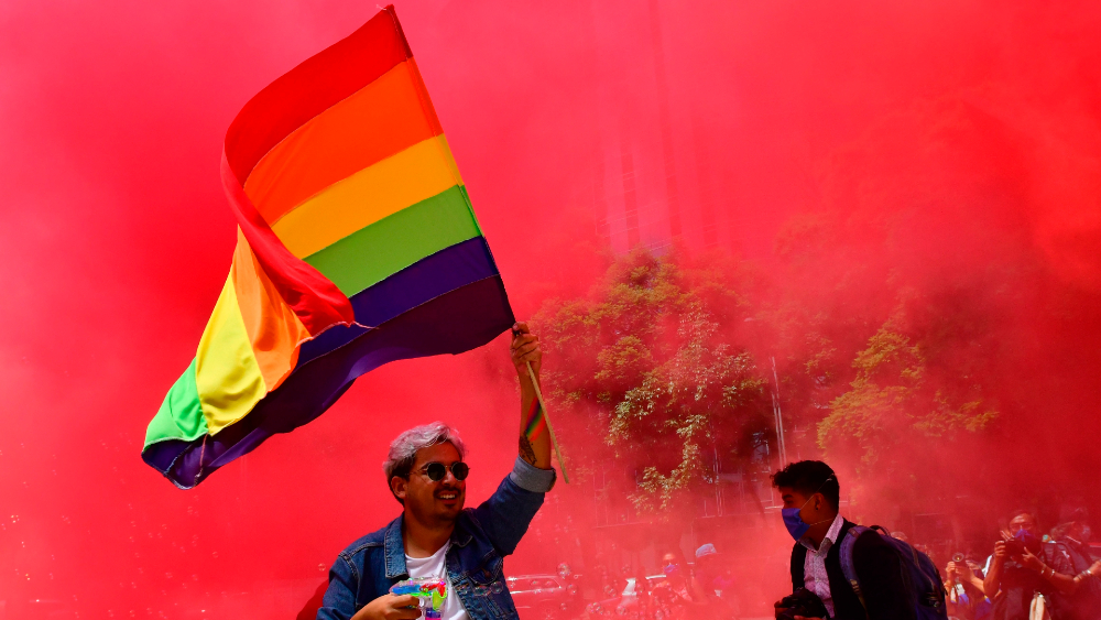 Comunidad LGBT de México triunfa con la marcha en línea más grande del mundo