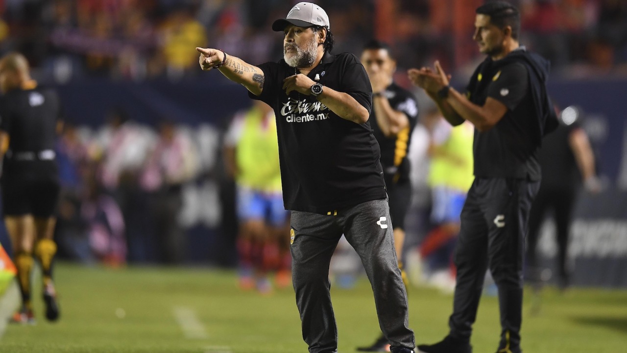 Debieron decirle - mr