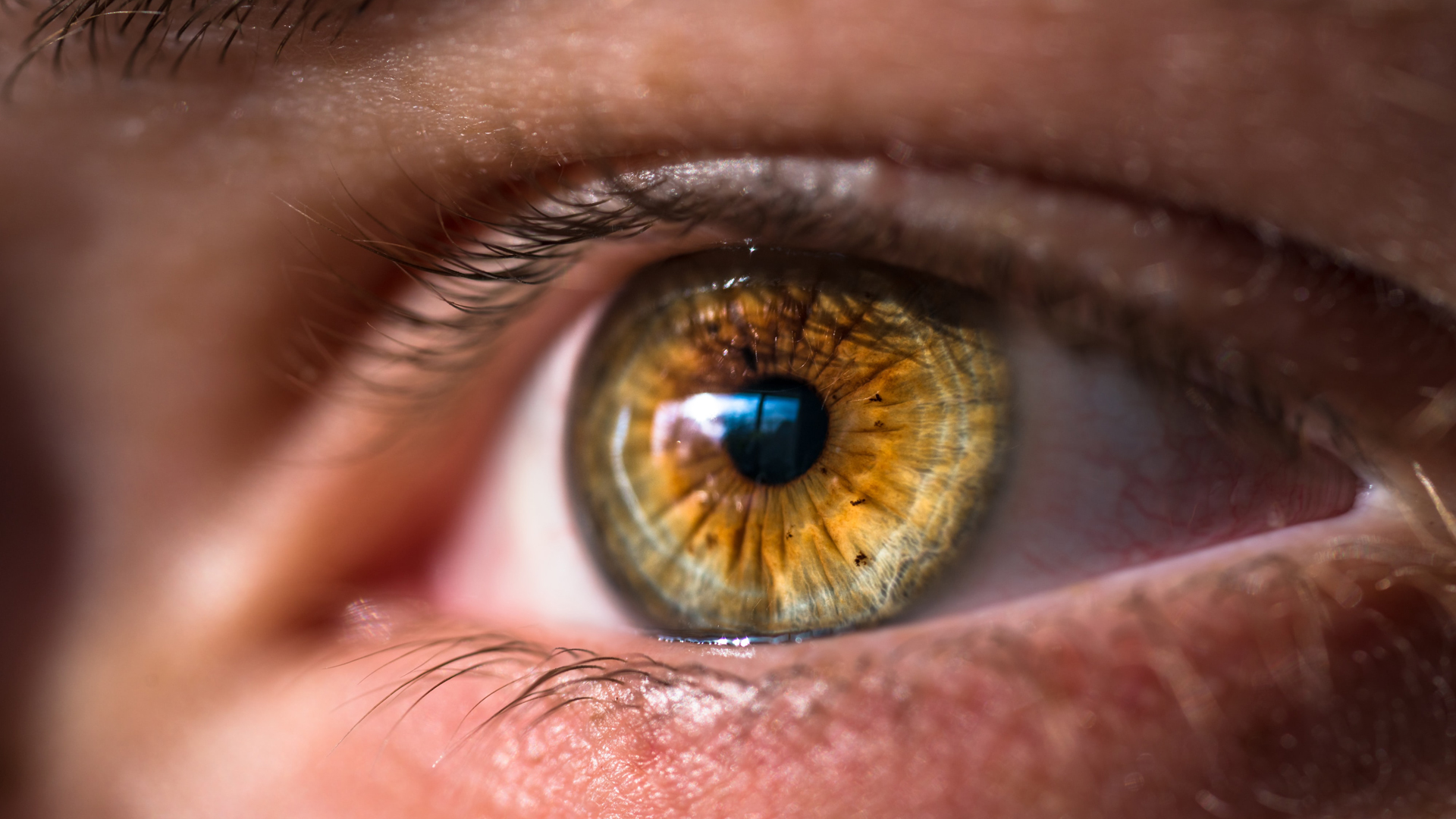 Confinamiento aumenta casos de fatiga visual