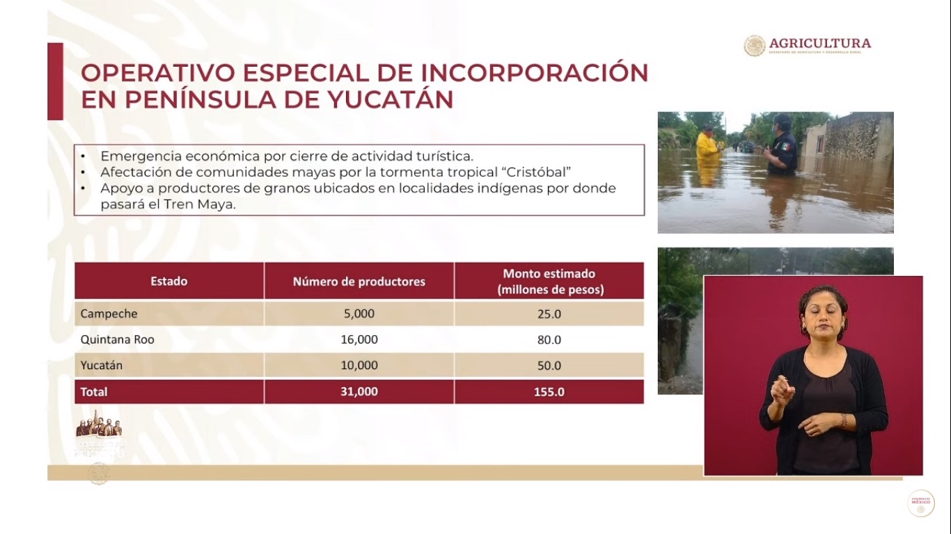 Apoyarán a productores y apicultores de la Península de Yucatán afectados por 'Cristóbal' - operativo-especial-de-incorporacion-a-produccion-para-el-bienestar-para-productores-de-la-zona-maya
