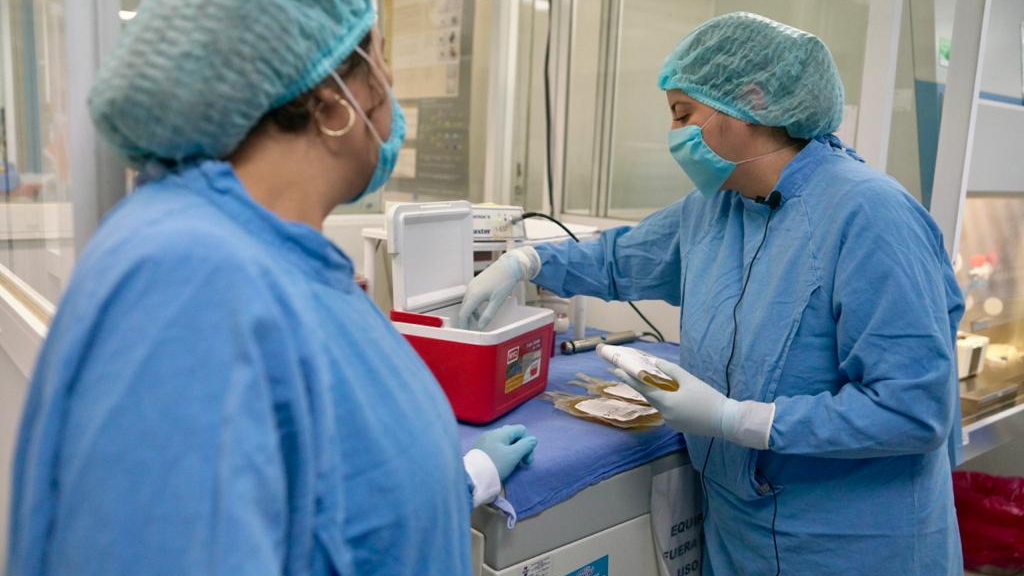 IMSS llama a personas recuperadas de COVID-19 a donar plasma - plasma-convaleciente-imss-covid-19-coronavirus-4