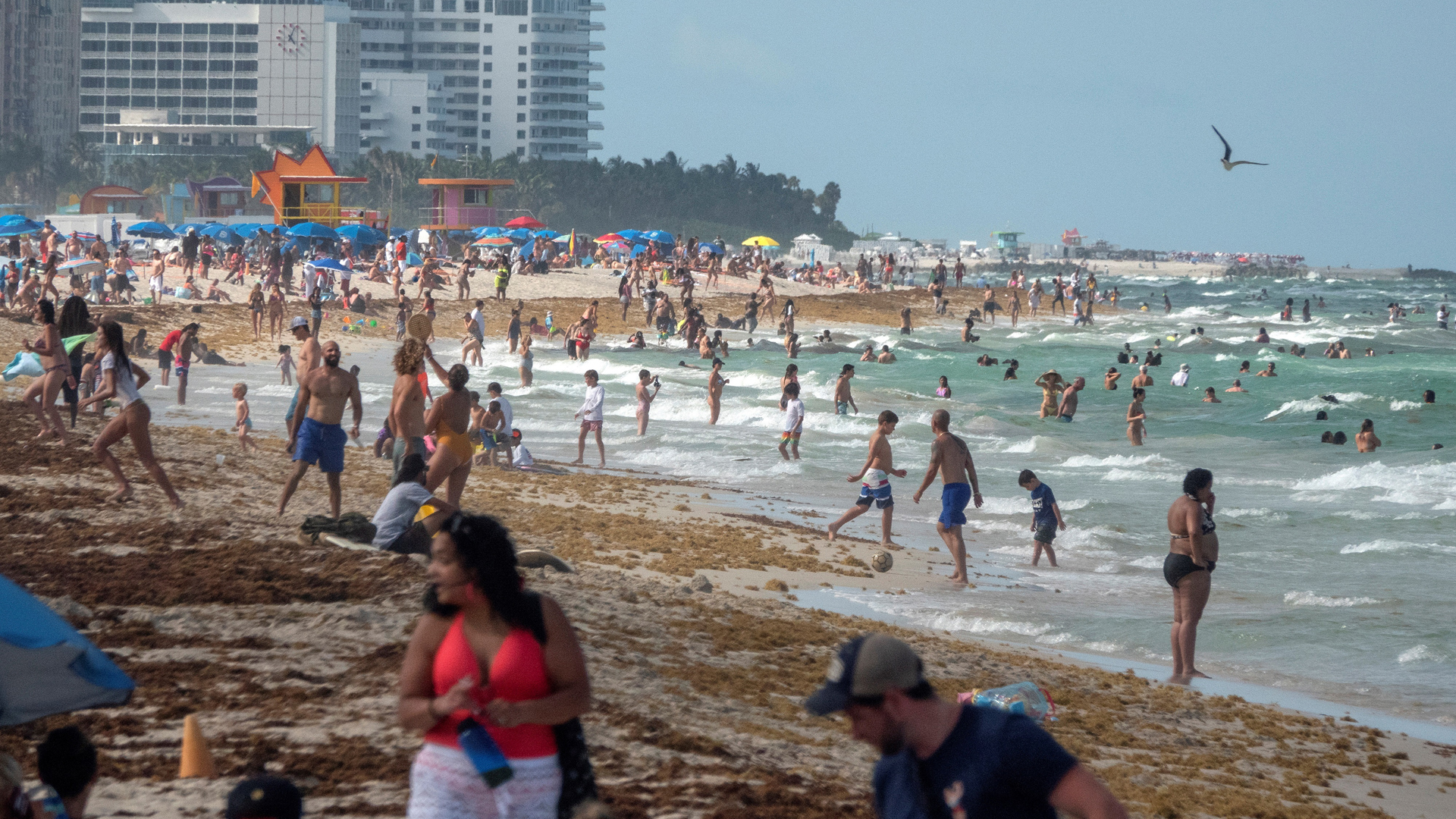 Florida registra casi 9 mil nuevos casos de COVID-19, un preocupante récord - playa-abarrotada-en-miami-florida