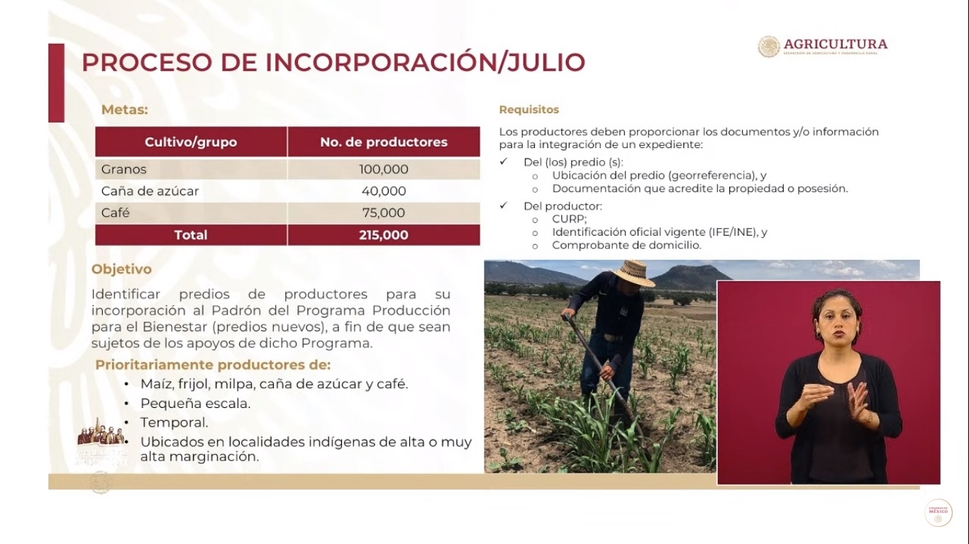 Apoyarán a productores y apicultores de la Península de Yucatán afectados por 'Cristóbal' - produccion-para-el-bienestar-proceso-de-incorporacion-en-julio