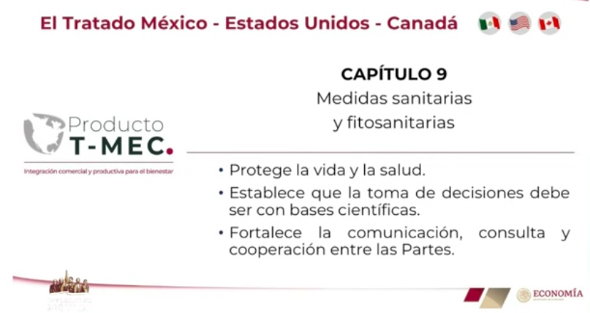 Durante 2019, México fue el país con mayor crecimiento en ventas en línea a nivel global - t-mec-revision-capitulos2
