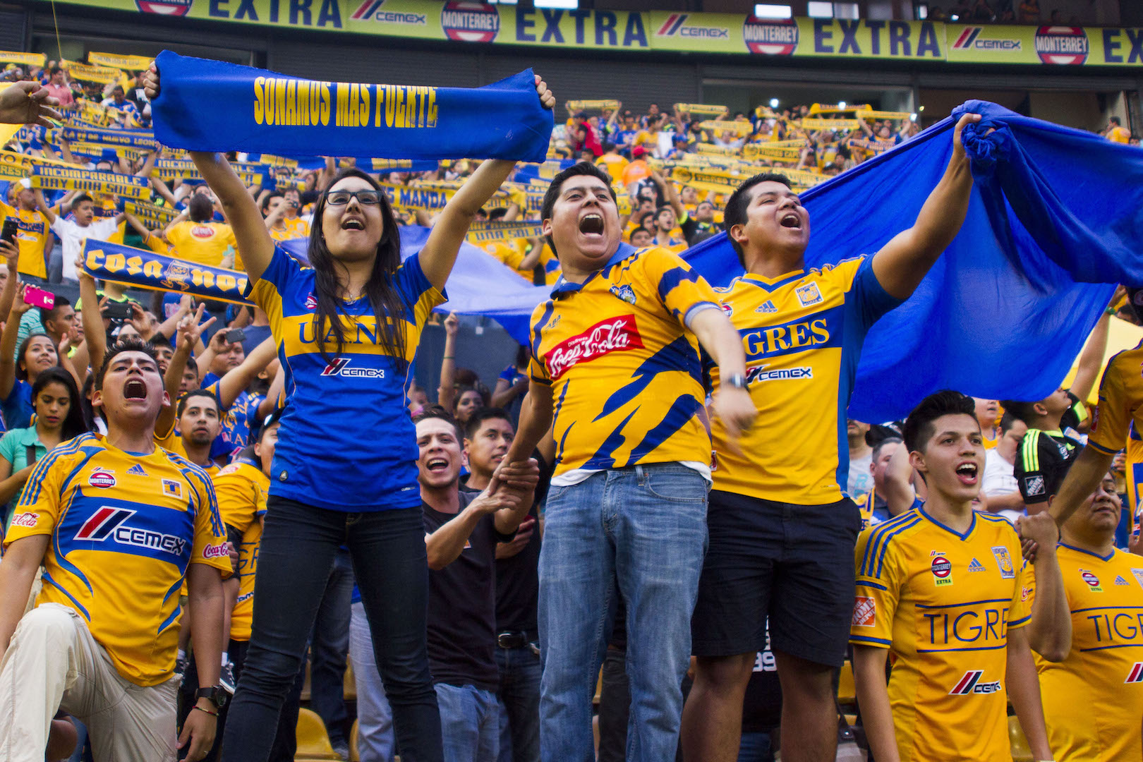 Alejandro Rodríguez regresa a la presidencia de Tigres