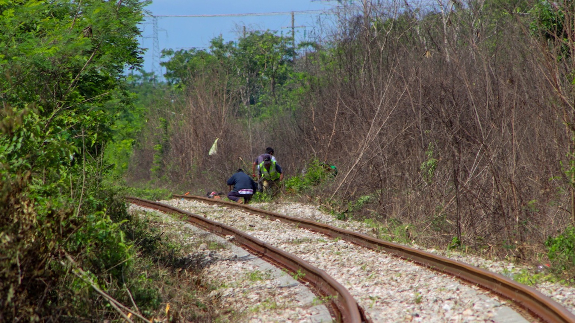 Comunidad ch’ol logra suspensión de construcción del tramo 1 del Tren Maya