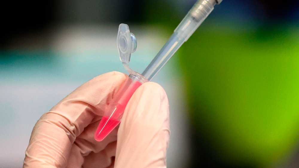 Vacuna genera respuestas inmunitarias al COVID-19 en primeras pruebas Vacuna genera respuestas inmunitarias al COVID-19 en primeras pruebas