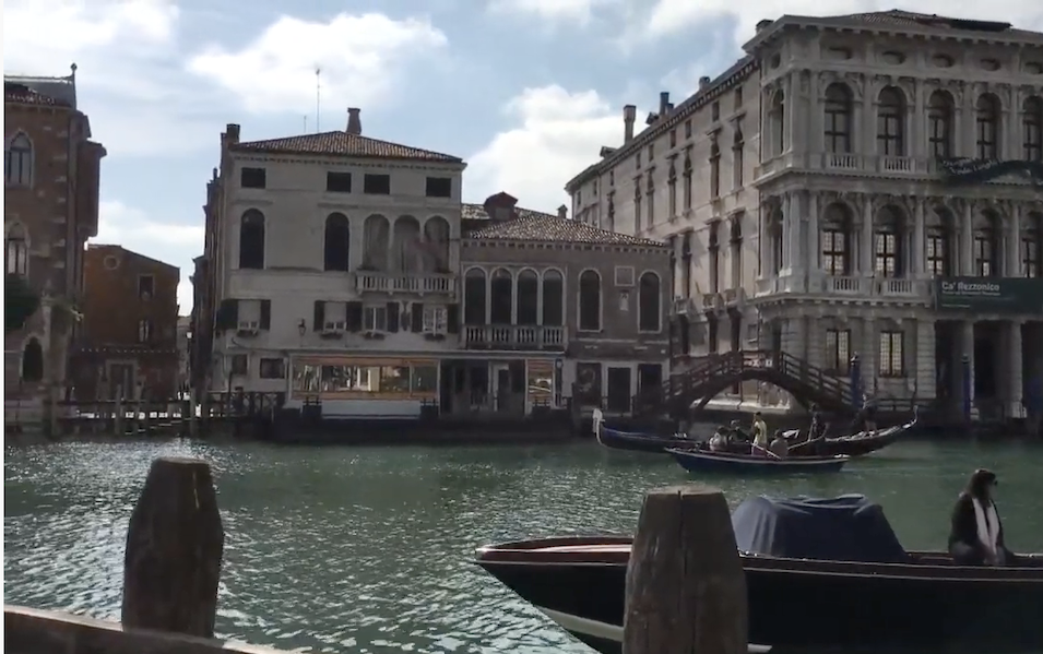Turistas se asoman en Venecia como aves raras