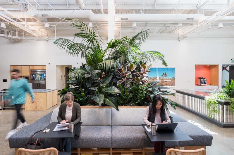 ¿Cómo cambiará la vida de los oficinistas en la nueva normalidad? - wework-05-1-1-1