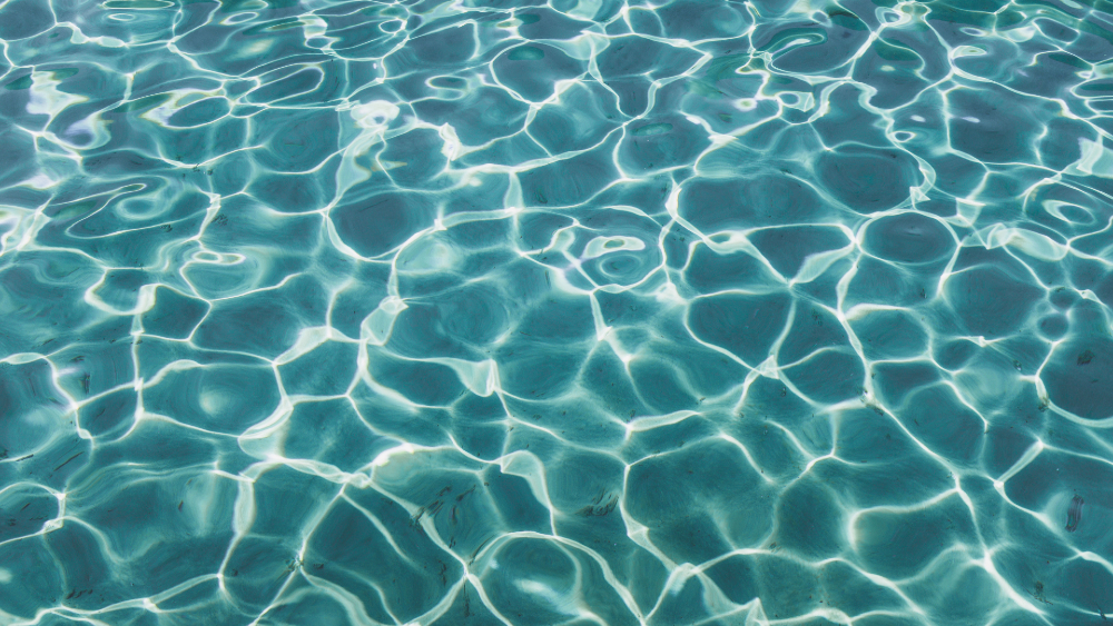 Amibas amenazan salud de bañistas