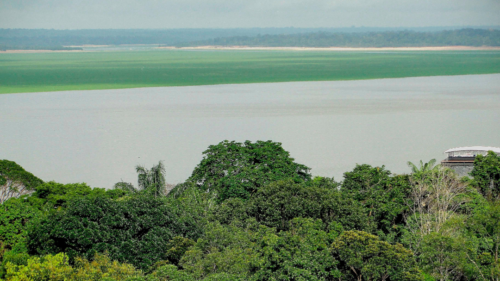 ONU alerta de avance del COVID-19 en la Amazonia de Perú, Colombia y Brasil