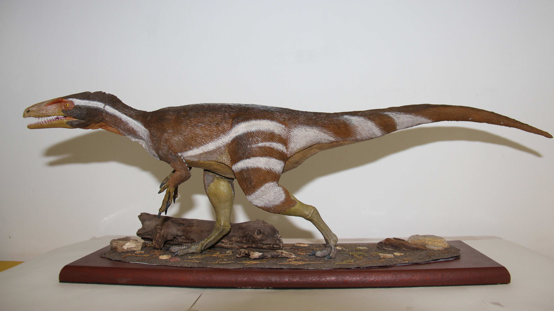 Descubren nueva especie de dinosaurio de hace 115 millones de años - aratasaurus-museunacionali