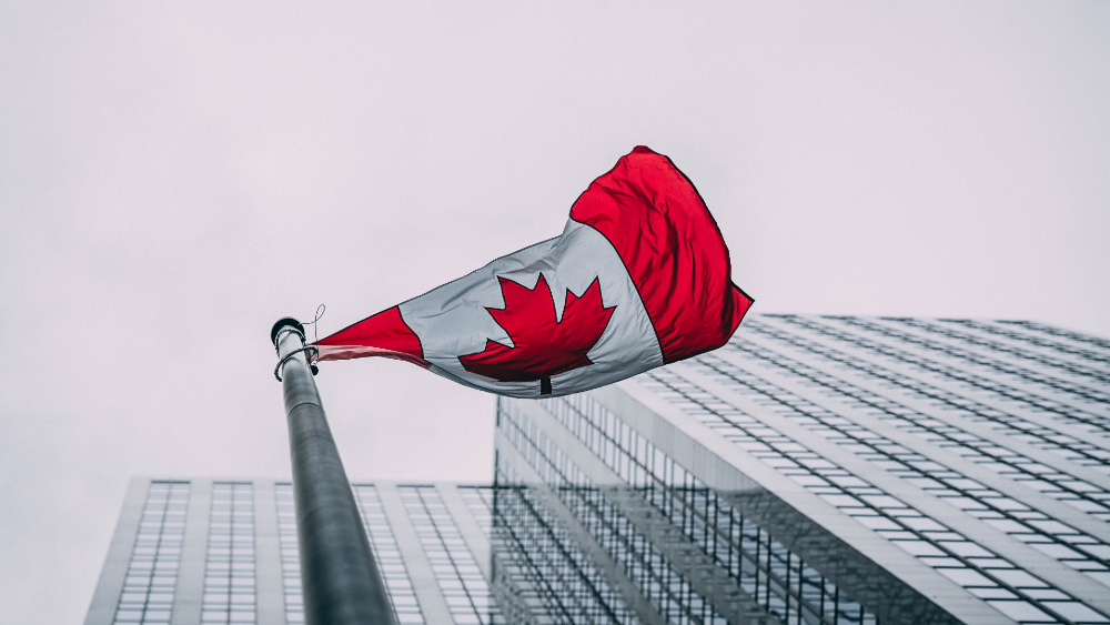 Economía de Canadá creció un 4.5% en mayo tras dos meses de fuerte caída Economía de Canadá creció un 4.5% en mayo tras dos meses de fuerte caída