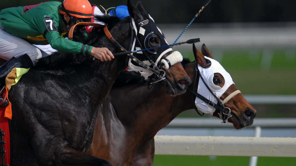 Jinetes del Hipódromo no han percibido dinero en 4 meses, denuncia César Mora Jinetes del Hipódromo no han percibido dinero en 4 meses, denuncia César Mora