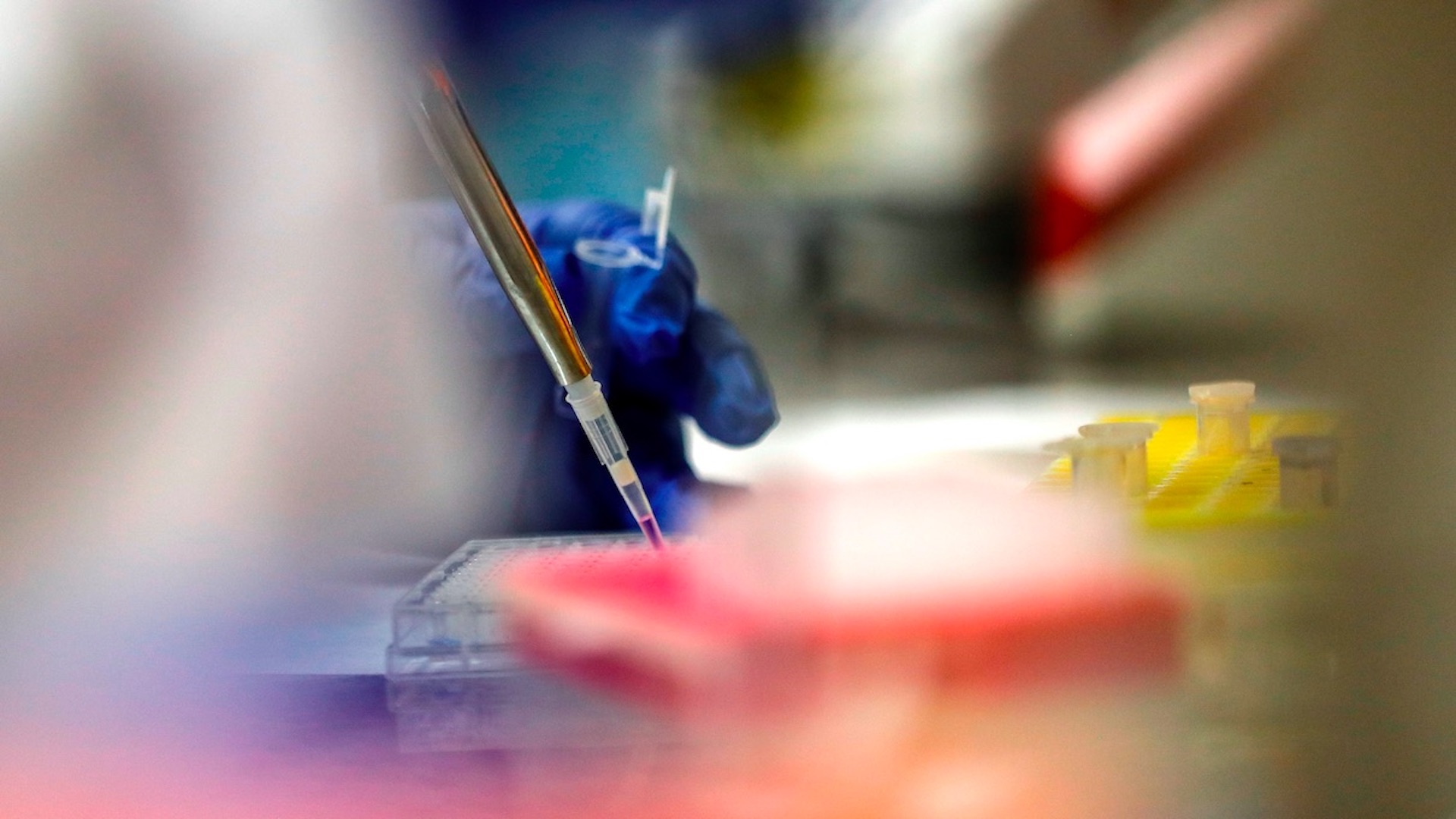 Andorra confirma que ya no queda ningún enfermo de COVID-19 en ese país Andorra confirma que ya no queda ningún enfermo de COVID-19 en ese país