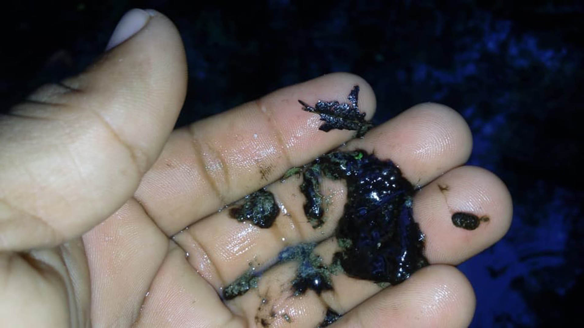 UNAM urge a proteger recursos naturales de Yucatán - contaminantes-del-acuifero-carstico-de-la-peninsula-de-yucatan