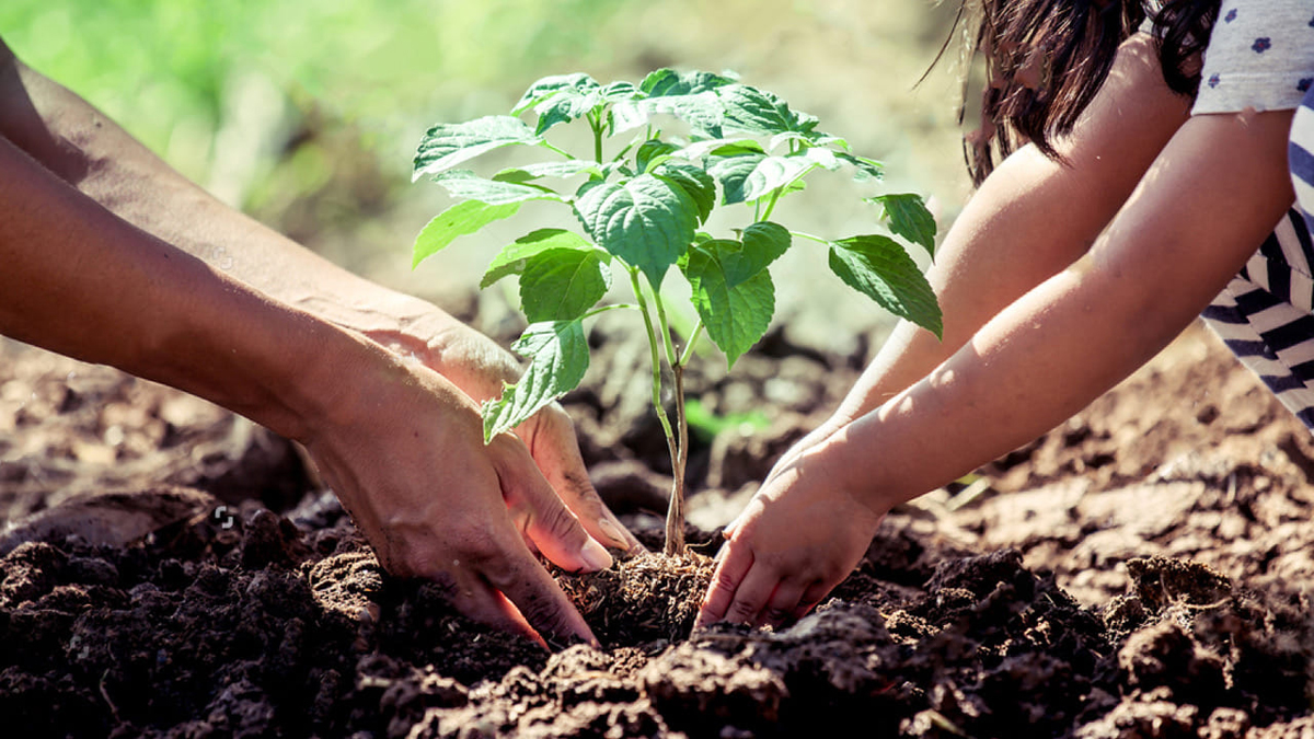 Papa Francisco pide a los países más ricos tomar medidas más ambiciosas por el clima Papa Francisco pide a los países más ricos tomar medidas más ambiciosas por el clima