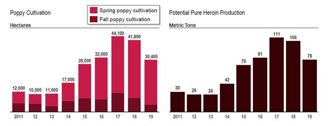 Producción de heroína en México registra reducción récord - cultivo-de-amapola-y-produccion-de-heroina-en-mexico