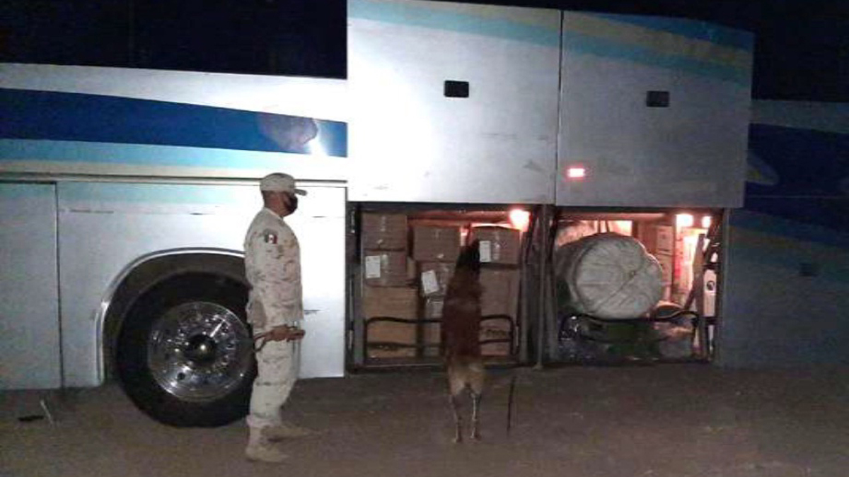 Sedena asegura más de tres toneladas de droga en diversos estados