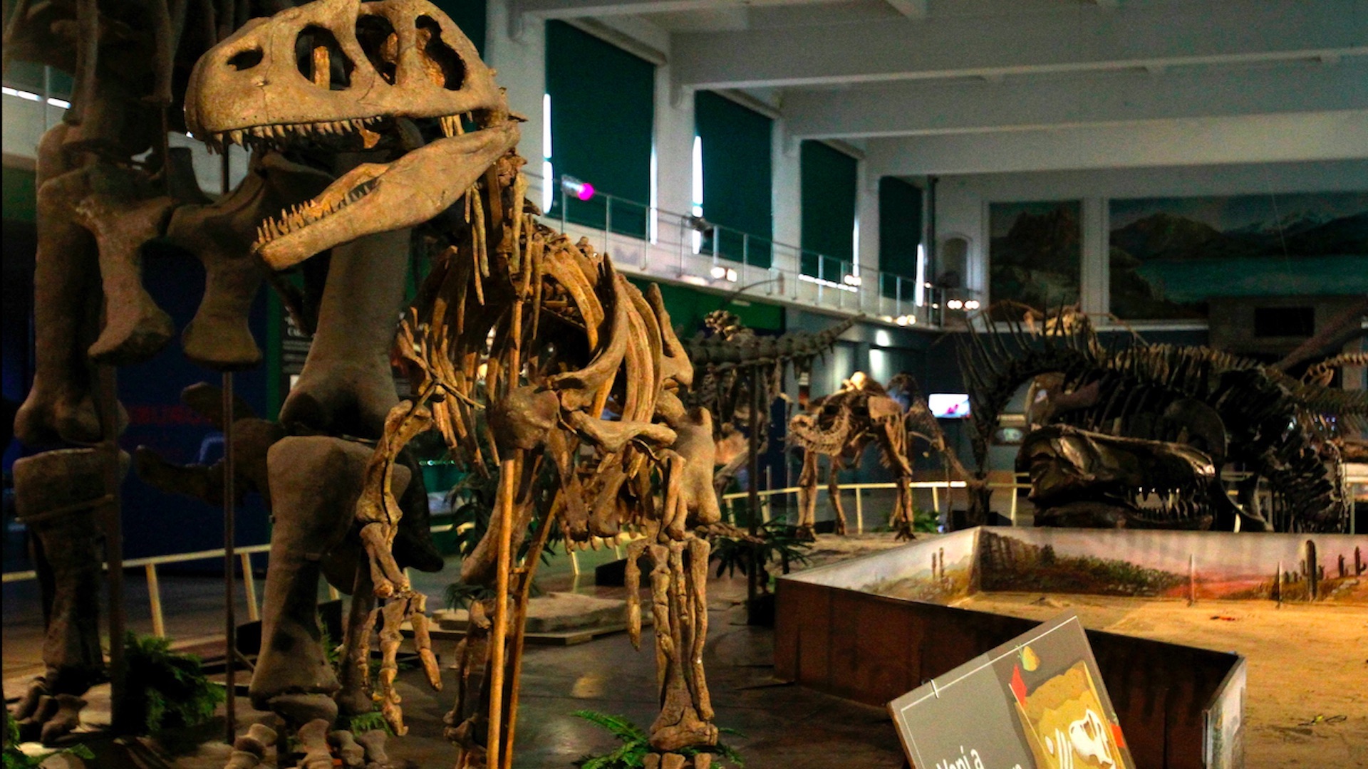 Estudio revela que dinosaurios pudieron ser diminutos en sus orígenes